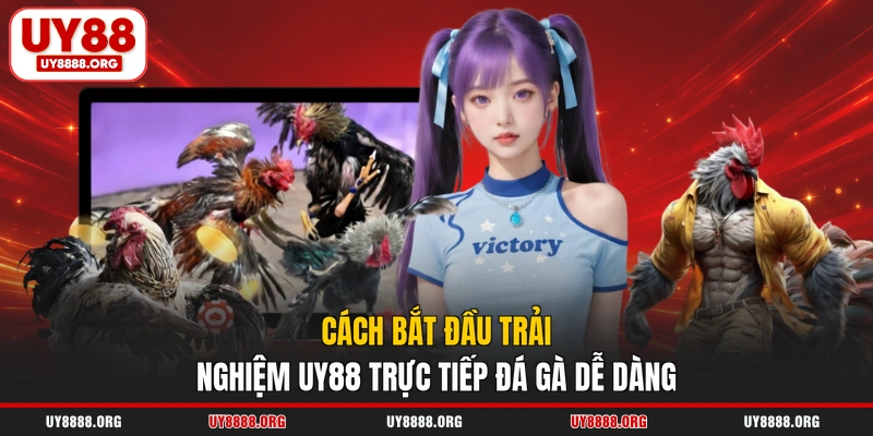 Cách bắt đầu trải nghiệm UY88 trực tiếp đá gà dễ dàng Cách bắt đầu trải nghiệm UY88 trực tiếp đá gà dễ dàng
