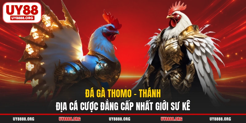 Đá Gà Thomo - Thánh Địa Cá Cược Đẳng Cấp Nhất Giới Sư Kê