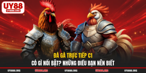 Đá Gà Trực Tiếp C1 Có Gì Nổi Bật? Những Điều Bạn Nên Biết