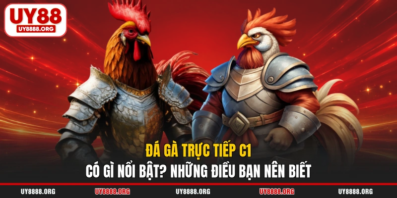 Đá Gà Trực Tiếp C1 Có Gì Nổi Bật? Những Điều Bạn Nên Biết