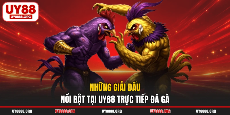 Những giải đấu nổi bật tại UY88 trực tiếp đá gà Những giải đấu nổi bật tại UY88 trực tiếp đá gà