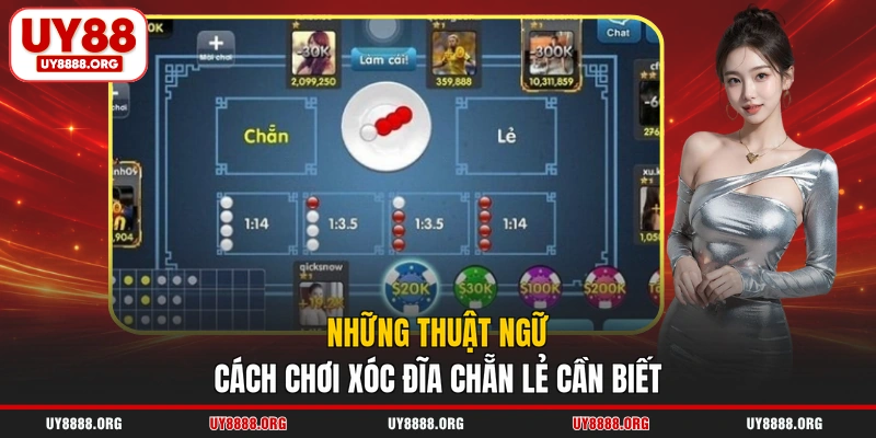 Những thuật ngữ cách chơi xóc đĩa chẵn lẻ cần biết Những thuật ngữ cách chơi xóc đĩa chẵn lẻ cần biết
