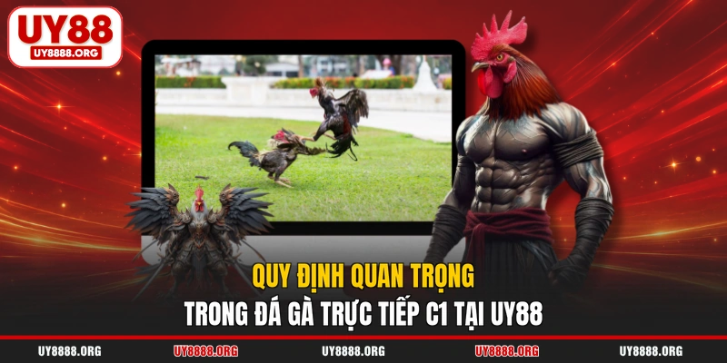 Quy định quan trọng trong đá gà trực tiếp C1 tại UY88